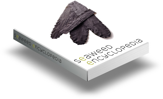 seaweed encyclopedia