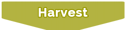 Harvest