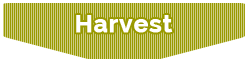 Harvest