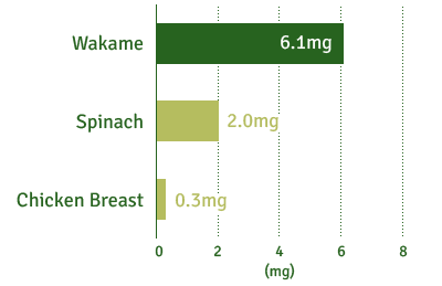 Wakame : 6.1mg / Spinach : 2.0mg / Chicken Breast : 0.3mg